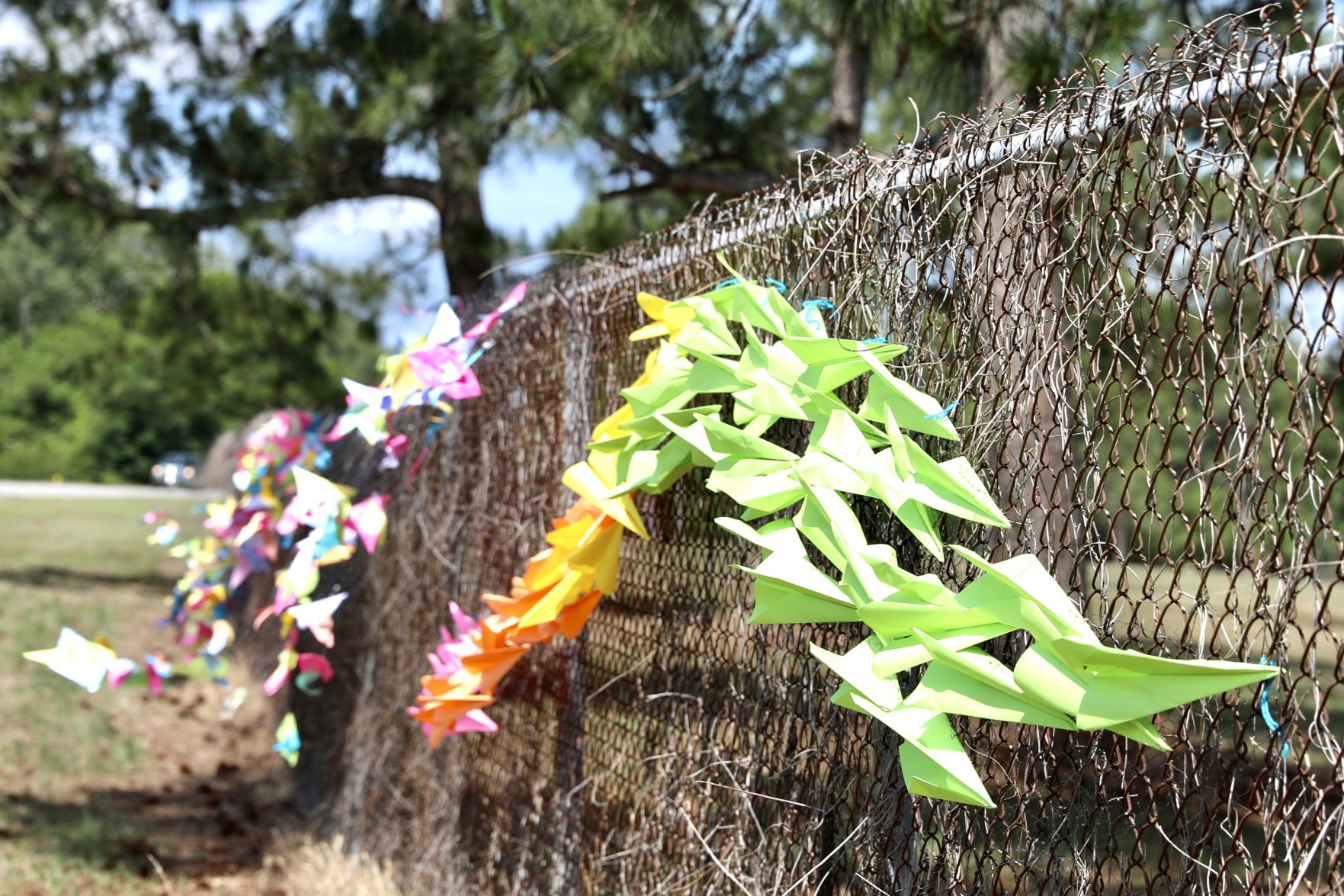 Outdoor Art Exhibit